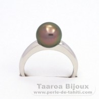 Rhodiated Sterling Silver Ring and 1 Tahitian Pearl Round B 9.1 mm