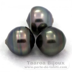 Lot of 3 Tahitian Pearls Ringed C from 12 to 12.3 mm