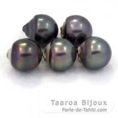 Lot of 5 Tahitian Pearls Baroque D from 13  13.3 mm