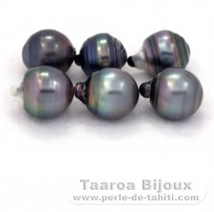 Lot of 6 Tahitian Pearls Ringed D from 13  13.4 mm