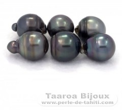 Lot of 6 Tahitian Pearls Baroque D from 14  14.9 mm