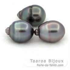 Lot of 3 Tahitian Pearls Ringed C from 11.6 to 11.9 mm
