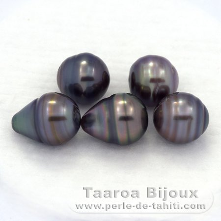 Lot of 5 Tahitian Pearls Ringed C from 9.6 to 9.8 mm