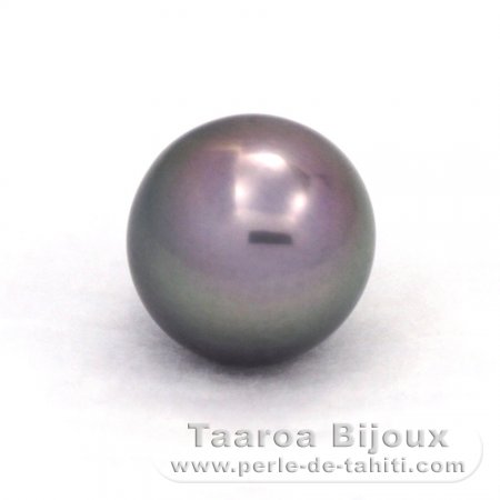 Tahitian Pearl Round B 12.6 mm