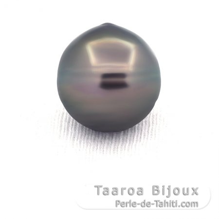 Tahitian Pearl Ringed C 14.1 mm