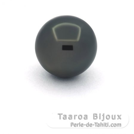 Tahitian Pearl Round C 12.3 mm