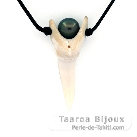 Cotton necklace, Mako shark tooth and 1 Tahitian Pearl Near-Round C 7.8 mm