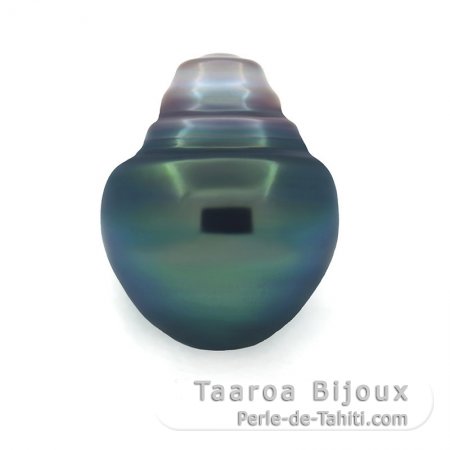 Tahitian Pearl Ringed B/C 12.2 mm