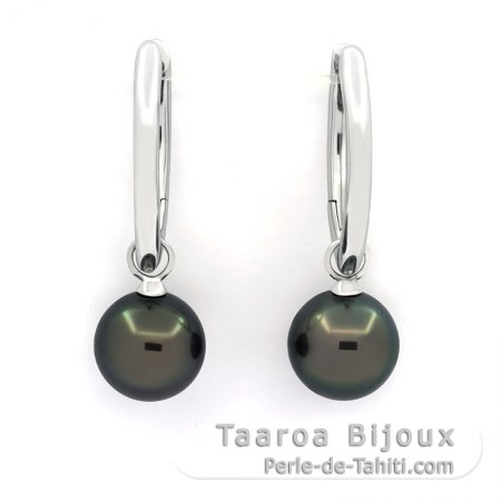 Rhodiated Sterling Silver Earrings and 2 Tahitian Pearls Round C 11.8 mm