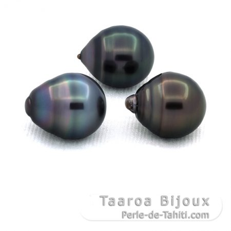 Lot of 3 Tahitian Pearls Ringed C from 11.3 to 11.4 mm