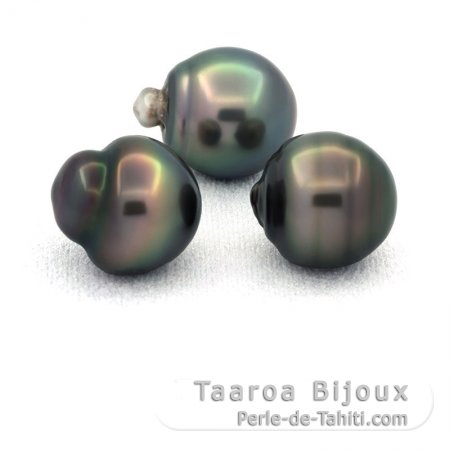 Lot of 3 Tahitian Pearls Ringed C from 11.6 to 11.8 mm