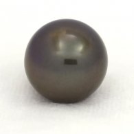 Tahitian Pearl Round C 12.3 mm