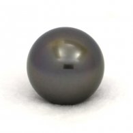 Tahitian Pearl Round C 14.6 mm