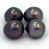 Lot of 4 Tahitian Pearls Semi-Baroque C from 10.1 to 10.4 mm