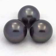 Lot of 3 Tahitian Pearls Round C from 12.6 to 12.9 mm