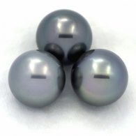 Lot of 3 Tahitian Pearls Round C from 13 to 13.1 mm