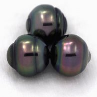 Lot of 3 Tahitian Pearls Ringed C from 10.1 to 10.2 mm
