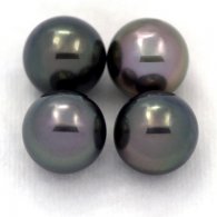 Lot of 4 Tahitian Pearls Semi-Round C from 10.3 to 10.4 mm