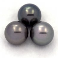 Lot of 3 Tahitian Pearls Round C from 11.6 to 11.9 mm
