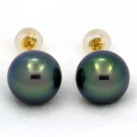 18K solid Gold Earrings and 2 Tahitian Pearls Round C+ 9.9 mm