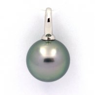 Rhodiated Sterling Silver Pendant and 1 Tahitian Pearl Round C 13.8 mm