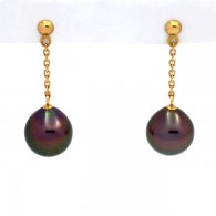 18K solid Gold Earrings and 2 Tahitian Pearls Semi-Baroque A 9.1 mm