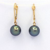 18K solid Gold Earrings and 2 Tahitian Pearls Round B+ 9 mm