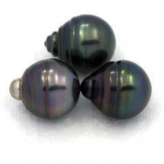 Lot of 3 Tahitian Pearls Ringed C from 12.5 to 12.7 mm