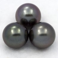 Lot of 3 Tahitian Pearls Round C from 11.5 to 11.9 mm