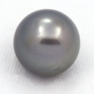 Tahitian Pearl Round C 14.3 mm