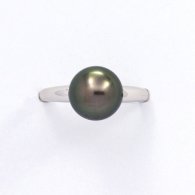 Rhodiated Sterling Silver Ring and 1 Tahitian Pearl Round B 8.9 mm