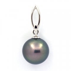 Rhodiated Sterling Silver Pendant and 1 Tahitian Pearl Round C 12.5 mm