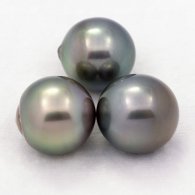Lot of 3 Tahitian Pearls Semi-Baroque C from 12 to 12.4 mm