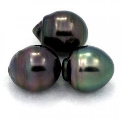 Lot of 3 Tahitian Pearls Ringed C from 12.6 to 12.7 mm