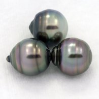 Lot of 3 Tahitian Pearls Ringed B from 9.6 to 9.7 mm