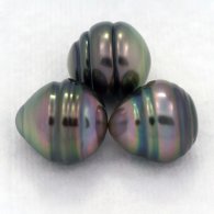Lot of 3 Tahitian Pearls Ringed B from 9.5 to 9.8 mm