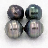 Lot of 4 Tahitian Pearls Ringed C from 9.5 to 9.8 mm