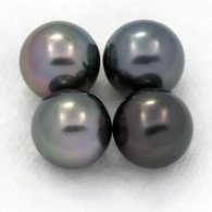Lot of 4 Tahitian Pearls Round C from 8 to 8.4 mm