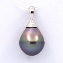 Rhodiated Sterling Silver Pendant and 1 Tahitian Pearl Ringed B 12.5 mm