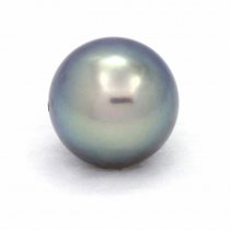 Tahitian Pearl Round C+ 11.3 mm