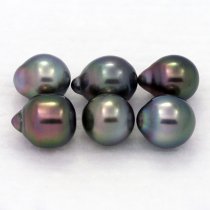 Lot of 6 Tahitian Pearls Semi-Baroque B from 7.7 to 8.3 mm
