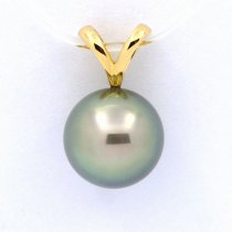 18K solid Gold Pendant and 1 Tahitian Pearl Round A 9.5 mm