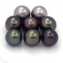 Lot of 8 Tahitian Pearls Round C from 8.7 to 8.9 mm
