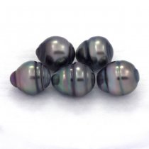 Lot of 5 Tahitian Pearls Ringed C from 8.5 to 8.8 mm