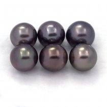 Lot of 6 Tahitian Pearls Round C from 8 to 8.3 mm