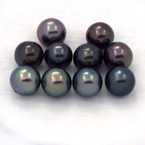 Lot of 10 Tahitian Pearls Round C from 8 to 8.3 mm