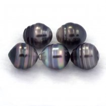 Lot of 5 Tahitian Pearls Ringed C from 9.5 to 10 mm