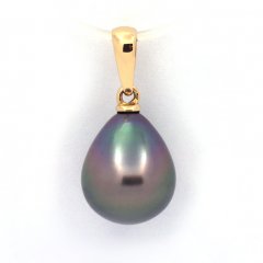 18K solid Gold Pendant and 1 Tahitian Pearl Semi-Baroque A 9.7 mm