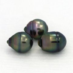Lot of 3 Tahitian Pearls Ringed B 10 mm
