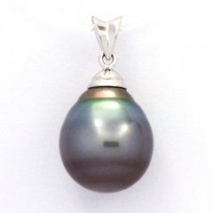 Rhodiated Sterling Silver Pendant and 1 Tahitian Pearl Ringed C 12.8 mm